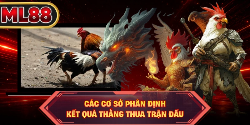 Các cơ sở phân định kết quả thắng thua trận đấu