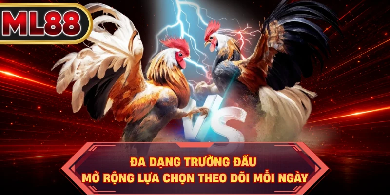 Đa dạng trường đấu mở rộng lựa chọn theo dõi mỗi ngày