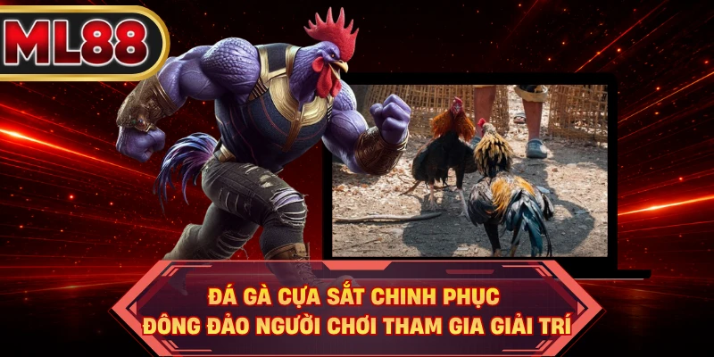 Đá gà cựa sắt chinh phục đông đảo người chơi tham gia giải trí