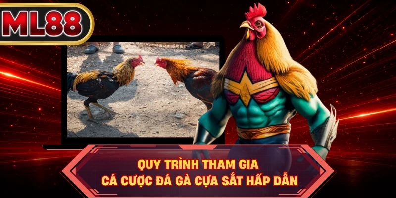 Quy trình tham gia cá cược đá gà cựa sắt hấp dẫn